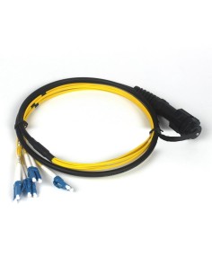 Bretelle ottiche Waterproof